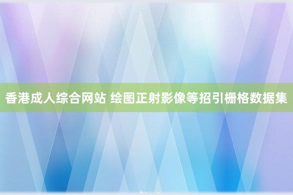 香港成人综合网站 绘图正射影像等招引栅格数据集