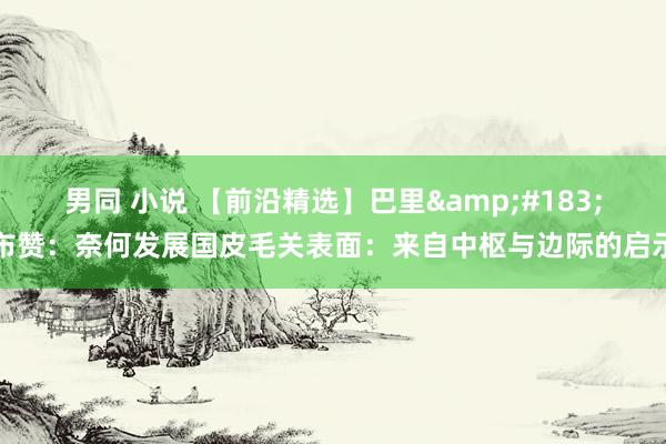 男同 小说 【前沿精选】巴里&#183;布赞：奈何发展国皮毛关表面：来自中枢与边际的启示