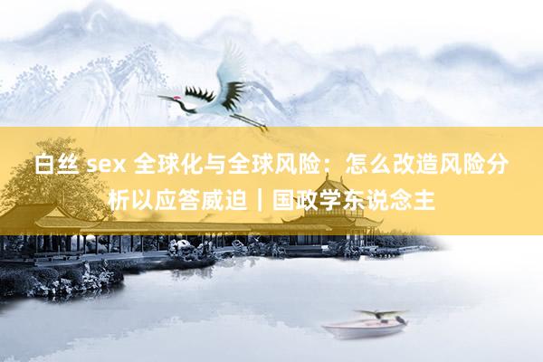 白丝 sex 全球化与全球风险：怎么改造风险分析以应答威迫｜国政学东说念主