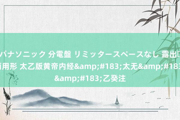 パナソニック 分電盤 リミッタースペースなし 露出・半埋込両用形 太乙版黄帝内经&#183;太无&#183;乙癸注
