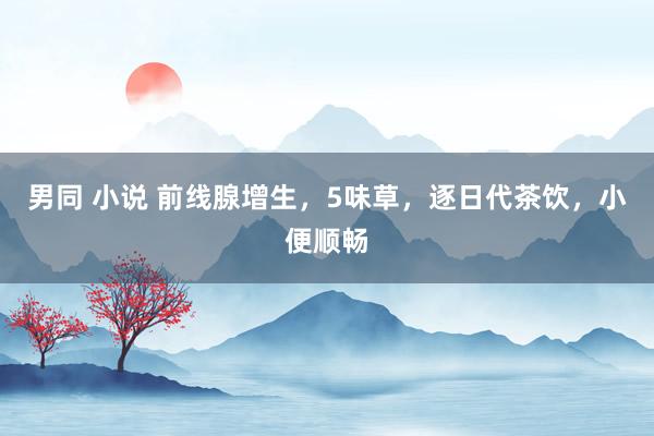 男同 小说 前线腺增生,5味草,逐日代茶饮,小便顺畅