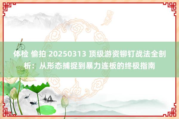 体检 偷拍 20250313 顶级游资铆钉战法全剖析：从形态捕捉到暴力连板的终极指南