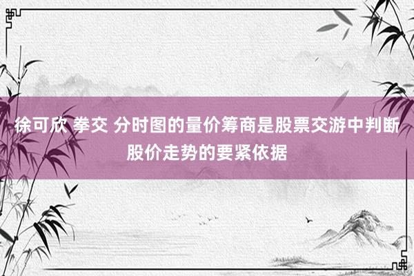 徐可欣 拳交 分时图的量价筹商是股票交游中判断股价走势的要紧依据