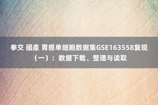 拳交 國產 胃癌单细胞数据集GSE163558复现（一）：数据下载、整理与读取