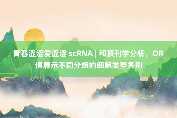 青春涩涩爱涩涩 scRNA | 和顶刊学分析，OR值展示不同分组的细胞类型各别