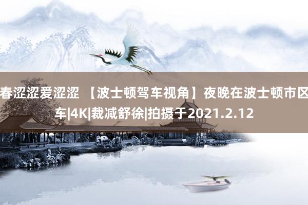 青春涩涩爱涩涩 【波士顿驾车视角】夜晚在波士顿市区驾车|4K|裁减舒徐|拍摄于2021.2.12