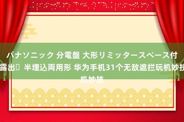 パナソニック 分電盤 大形リミッタースペース付 露出・半埋込両用形 华为手机31个无敌遮拦玩机妙技
