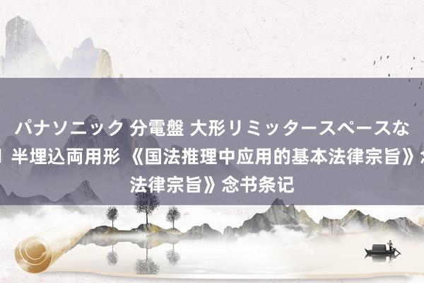 パナソニック 分電盤 大形リミッタースペースなし 露出・半埋込両用形 《国法推理中应用的基本法律宗旨》念书条记